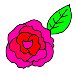 Rose flower