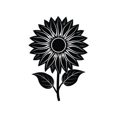 sunflower vector illustration