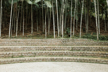 Tree climbing, landscape with stone floors and tall trees