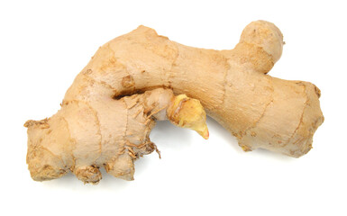 Fresh ginger root or rhizome isolated on white background cutout