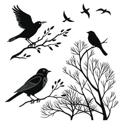 Birds silhouette vector collection white background.