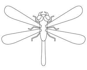Dragonfly predatory insect - vector linear picture for coloring book, logo or pictogram. Outline. Dragonfly, animal for coloring, sign or icon, animal for identity	