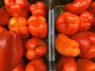 Vibrant Harvest: Captivating Fruit and Vegetable Photography Showcasing Nature’s Artistry: Peppers