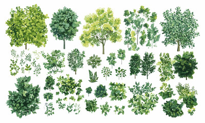 Assorted tree and shrub varieties set against white background, vector