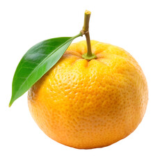 orange with leaf