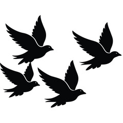 Birds silhouette vector collection white background.