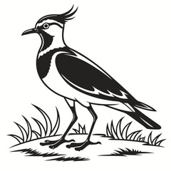 Lapwing silhouette icon vector