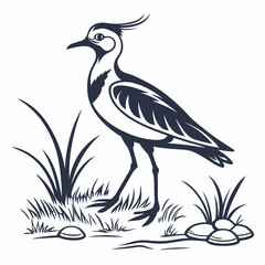 Lapwing silhouette icon vector