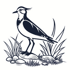 Lapwing silhouette icon vector