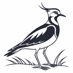 Lapwing silhouette icon vector