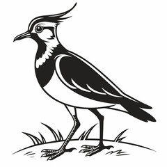 Lapwing silhouette icon vector