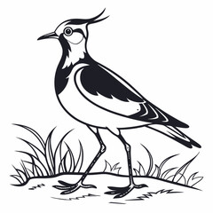 Lapwing silhouette icon vector