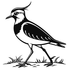 Lapwing silhouette icon vector