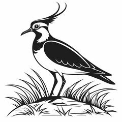 Lapwing silhouette icon vector