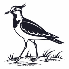 Obraz premium Lapwing silhouette icon vector