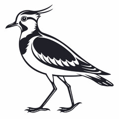 Lapwing silhouette icon vector