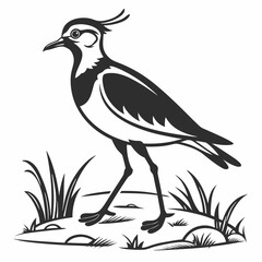 Lapwing silhouette icon vector