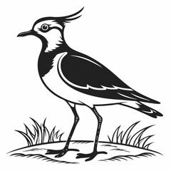 Lapwing silhouette icon vector
