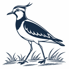 Lapwing silhouette icon vector