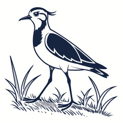 Lapwing silhouette icon vector