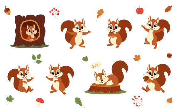 Cute animal squirrel set characters. Squirrel in various poses. Squirrel running, standing, jumping and sleeping. Forest wild animals.