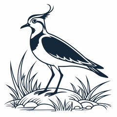 Lapwing silhouette icon vector