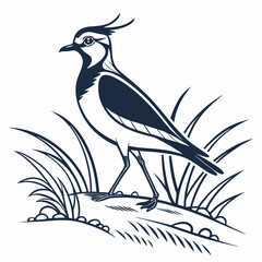 Lapwing silhouette icon vector