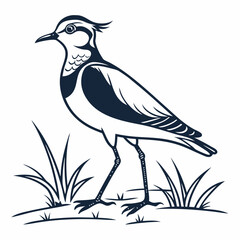 Lapwing silhouette icon vector