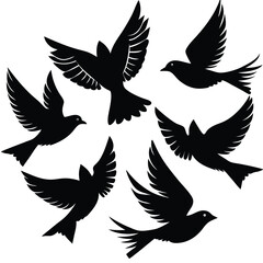 Flying Popular birds silhouette isolated on white background.