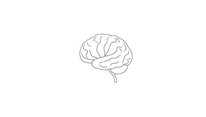 Human Brain Outline, Simple Line Drawing, Black Background
