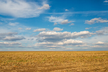 Harvested field with straw against a background of blue sky and white clouds.
