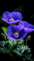 Blue Flowers Close-Up