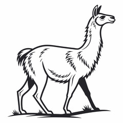 liama silhouette icon vector