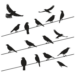 Fototapeta premium Vector silhouettes set of birds at tree branches and isolated background.