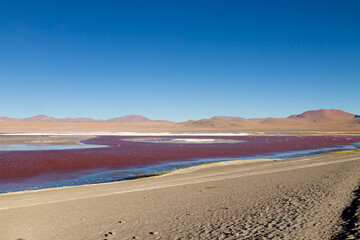 Laguna Colorada view, Bolivia
