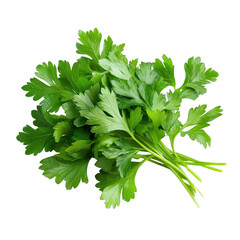 a bunch of fresh green parsley isolated on a white background