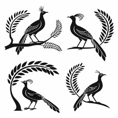 Lyrebird icon set black silhouette icon vector