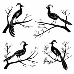 Lyrebird icon set black silhouette icon vector