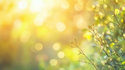 Bright sunshine bokeh light with spring flora nature soft focus design