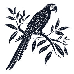 macaw black silhouette icon vector 