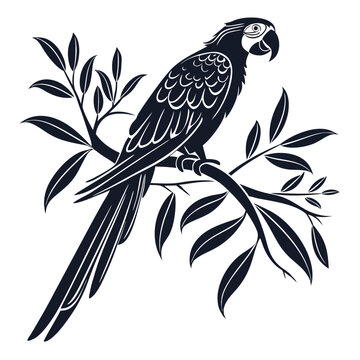 macaw black silhouette icon vector 