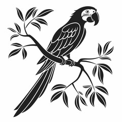 macaw black silhouette icon vector 