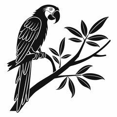 macaw black silhouette icon vector 