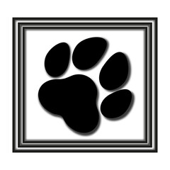 Paw in a black frame on a white background