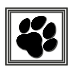 Paw in a black frame on a white background