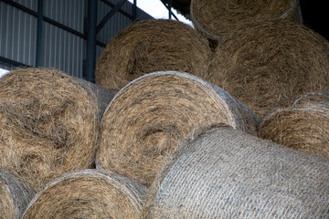Hay and animal feed in bales in an open warehouse.