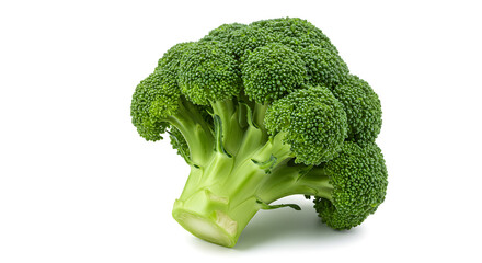 Broccoli isolated on white background