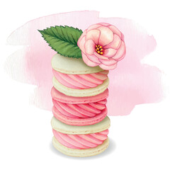 Watercolor hand drawn realistic macaron