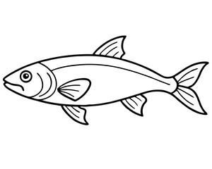 fish isolated on white