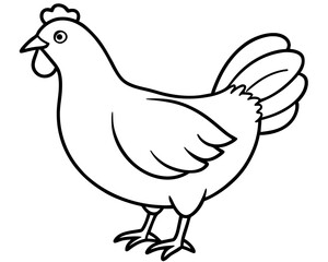 vector illustration of a chicken
